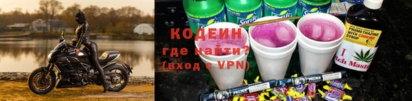 стаф Новокубанск