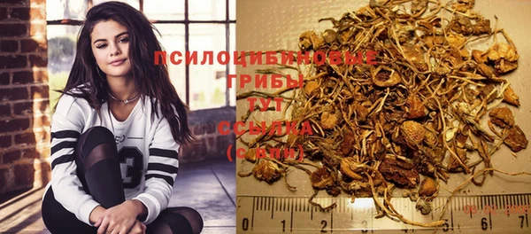 шишки Нефтегорск