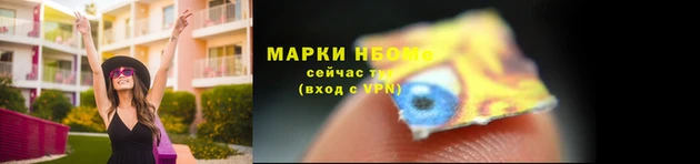 индика Нефтекумск