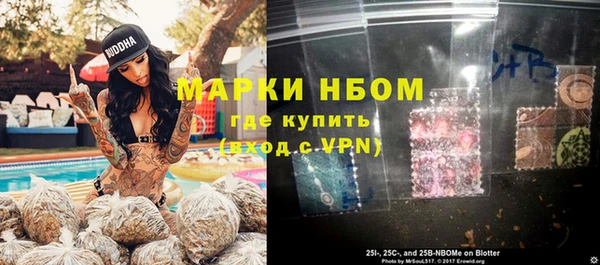 индика Нефтекумск