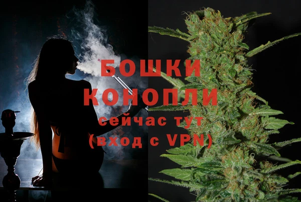 мяу мяу мука Новозыбков