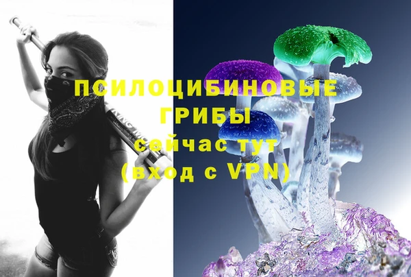 индика Нефтекумск