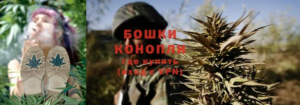 стаф Новокубанск