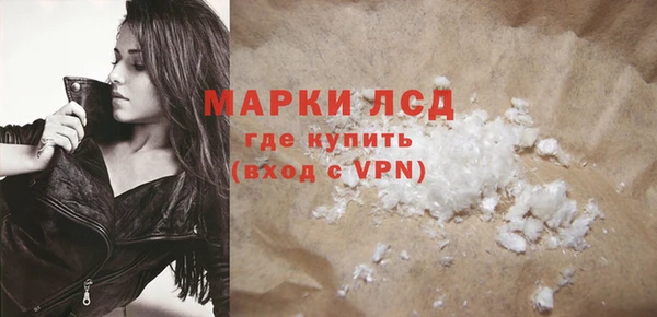 индика Нефтекумск